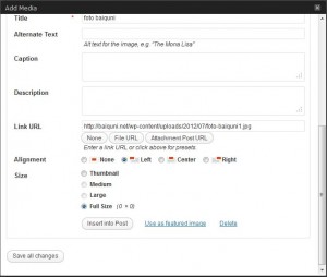Error WordPress Media Upload Error Full Size (0 x 0)