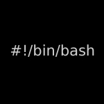 Bash Scripting
