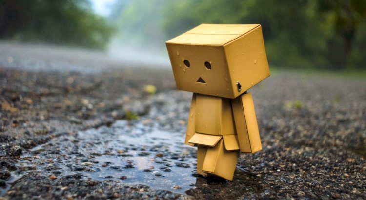danbo